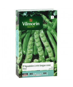 VILMORIN Feve d\'Aguadulce a tres longues cosses Sachet de graines