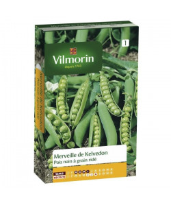 VILMORIN Pois Merveille de Kelvedon Sachet de graines