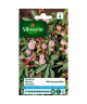 VILMORIN Sachet graines de Mimosa PUDICA SENSITIVE