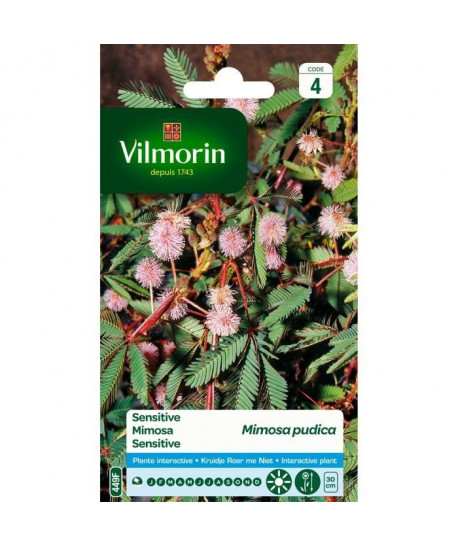 VILMORIN Sachet graines de Mimosa PUDICA SENSITIVE