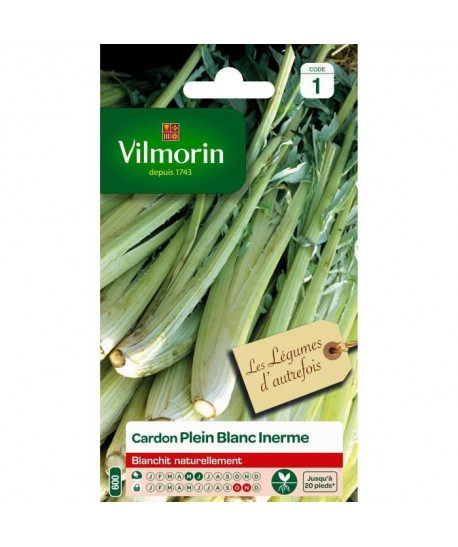 VILMORIN Cardon plein blanc inerne