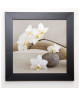 CHATELAIN SONIA Image encadrée White orchid 37x37 cm Beige