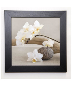 CHATELAIN SONIA Image encadrée White orchid 37x37 cm Beige