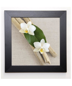 CHATELAIN SONIA Image encadrée Orchid and Wood 37x37 cm Beige