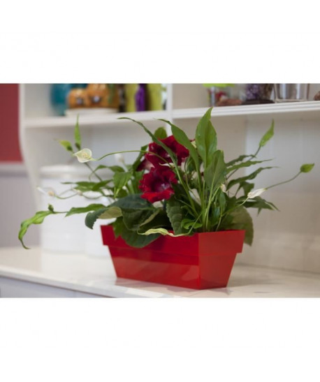 Jardiniere plastique rouge brillant 10x25 cm