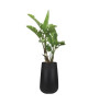 PURE Pot de fleurs Cone High  45 cm  Gris ciment