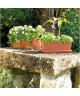 DEROMA Jardiniere Miramare  60 x 17 x H 14,5 cm  10 L  Terre rouge