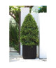 CUBE PLANTER Cache pot moyen format 21,5 litres aspect lattes bois