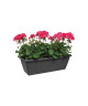 ELHO Pot de fleur balconniere  L50 cm  Gris chaud