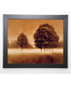 FORD Image encadrée Misty Meadow 47x57 cm  Marron