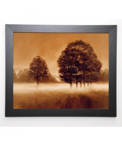 FORD Image encadrée Misty Meadow 47x57 cm  Marron