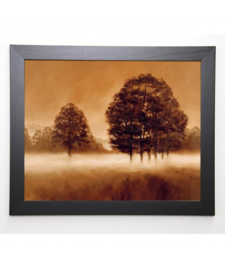 FORD Image encadrée Misty Meadow 47x57 cm  Marron