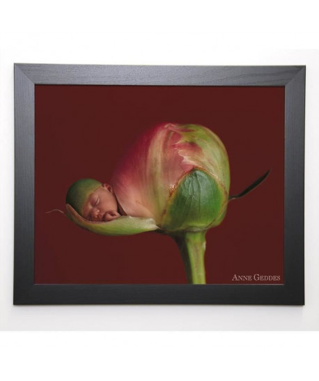 GEDDES ANNE Image encadrée Bébé a la rose  47x57 cm  Rouge