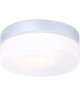 GLOBO LIGHTING Luminaire extérieur (fix. Plafond) aluminium gris métallisé  Verre opal
