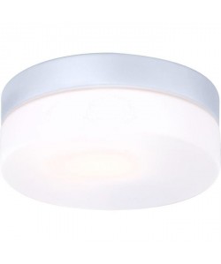 GLOBO LIGHTING Luminaire extérieur (fix. Plafond) aluminium gris métallisé  Verre opal