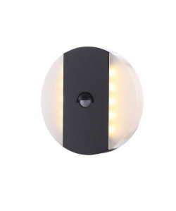 GLOBO LIGHTING Applique extérieure aluminium fonte gris  Plastique opal