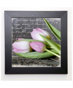 HAASE Image encadrée Poetry Tulips 37x37 cm Rose