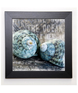 HAASE Image encadrée Blue Ocean Shells 37x37 cm Gris