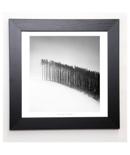 KENNA Image encadrée Forest Edge, Hokuto, Hokkaido 37x37 cm Gris