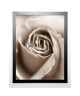 KENNEDY Image encadrée Heart of Rose 67x87 cm Beige