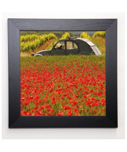 LAUTIER JULIEN Image encadrée La 2 CV aux coquelicots 37x37 cm Vert