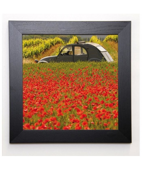 LAUTIER JULIEN Image encadrée La 2 CV aux coquelicots 37x37 cm Vert