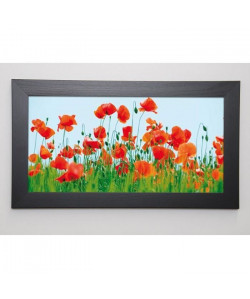 LENS Image encadrée Poppy Field 29,7x57 cm Rouge