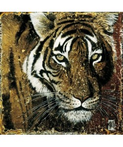 Affiche papier   Portrait de tigre   Arietti    30x30 cm