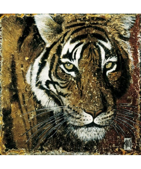 Affiche papier   Portrait de tigre   Arietti    30x30 cm
