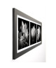 MERCIER BRUNO Image encadrée Illusions printanieres 1 40x102 cm Gris