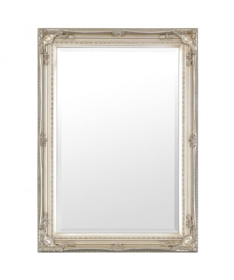 Maissance Miroir 60x90 cm  Argent antique
