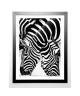 PELUCHETTI Image encadrée Two Zebras 67x87 cm Noir