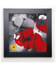 PFAADT AURÉLIE Image encadrée Art Poppy 37x37 cm Rouge