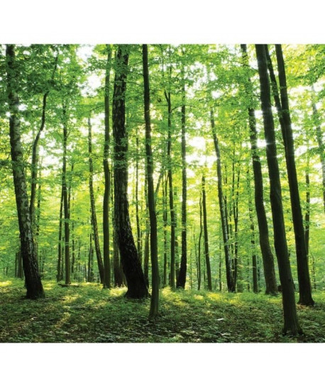 FORET Poster XL 276x254 cm