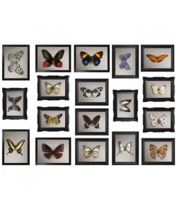 PLAGE Sticker déco Cadres papillons  Planche 48x68 cm