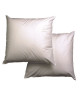 BLANREVE Lot de 2 oreillers FIRST 60x60cm