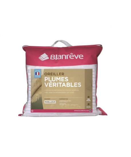 BLANREVE Oreiller Plumes 60x60 cm blanc