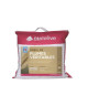 BLANREVE Lot de 2 oreillers  60x60 cm