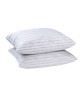 BLANREVE Lot de 2 oreillers  60x60 cm