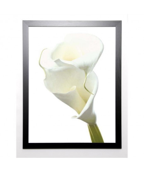 PHOTOGRAPHY COLLECTION Image encadrée Lily in Bloom II 67x87 cm Blanc