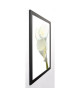 PHOTOGRAPHY COLLECTION Image encadrée Lily in Bloom II 67x87 cm Blanc