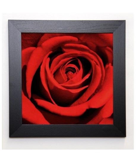 PINSARD Image encadrée Red Rose 37x37 cm Rouge