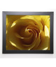 PINSARD Image encadrée Yellow Rose 47x57 cm Jaune