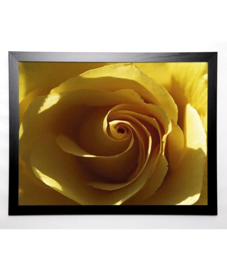 PINSARD Image encadrée Yellow Rose 67x87 cm Jaune