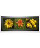 PINSARD LAURENT Image encadrée Fleurs 40x102 cm Jaune