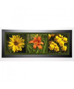 PINSARD LAURENT Image encadrée Fleurs 40x102 cm Jaune