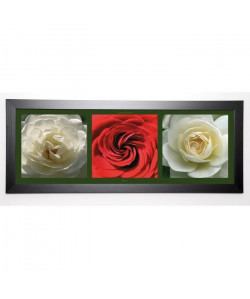 PINSARD LAURENT Image encadrée Roses II 40x102 cm Multicolore