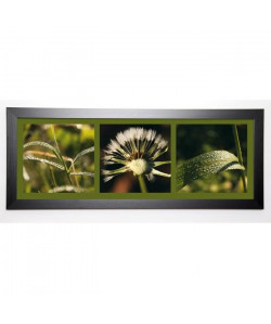 PINSARD LAURENT Image encadrée Rosée 40x102 cm Vert