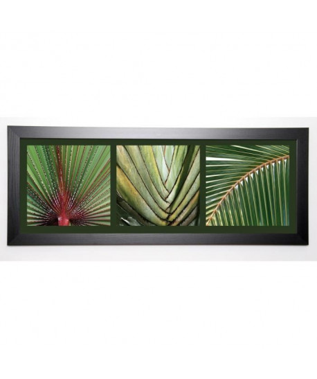 PINSARD LAURENT Image encadrée Palmiers 40x102 cm Vert