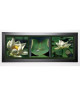 PINSARD LAURENT Image encadrée Lotus blancs 40x102 cm Vert